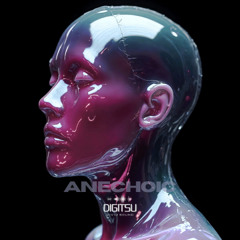 Digitsu - Anechoic