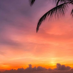 tropical sunrise (drma + qbin)