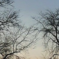 KARA - Lupin [Male Version]