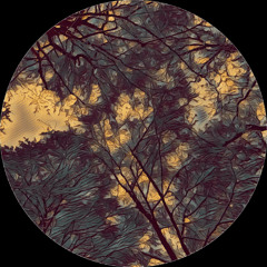 PREMIERE: Caesar - Nouă Sute [EP007]