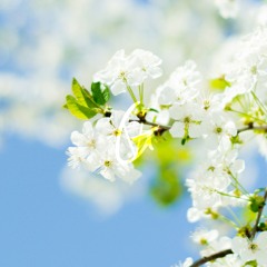 It's Spring