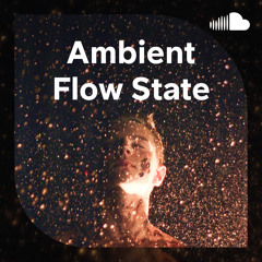 Ambient Flow State