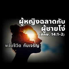 EP - 408 ผู้หญิงฉลาดกับผู้ชายโง่(สภษ14.1 - 2)
