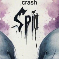 S P L i T