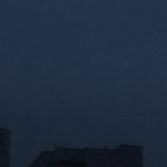 say