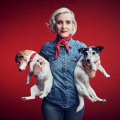 Dogman.com – Bästa shoppen för bästa vännen: Brett sortiment (SE 30 sek)