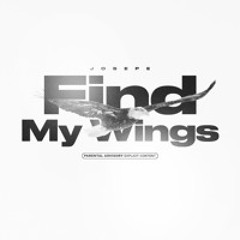 Find My Wings