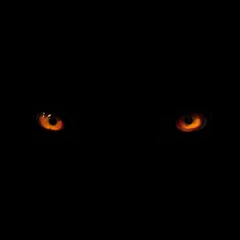 Big Bad Wolf