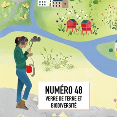 Biodiversité On Air #48 : Vers de terre et biodiversité