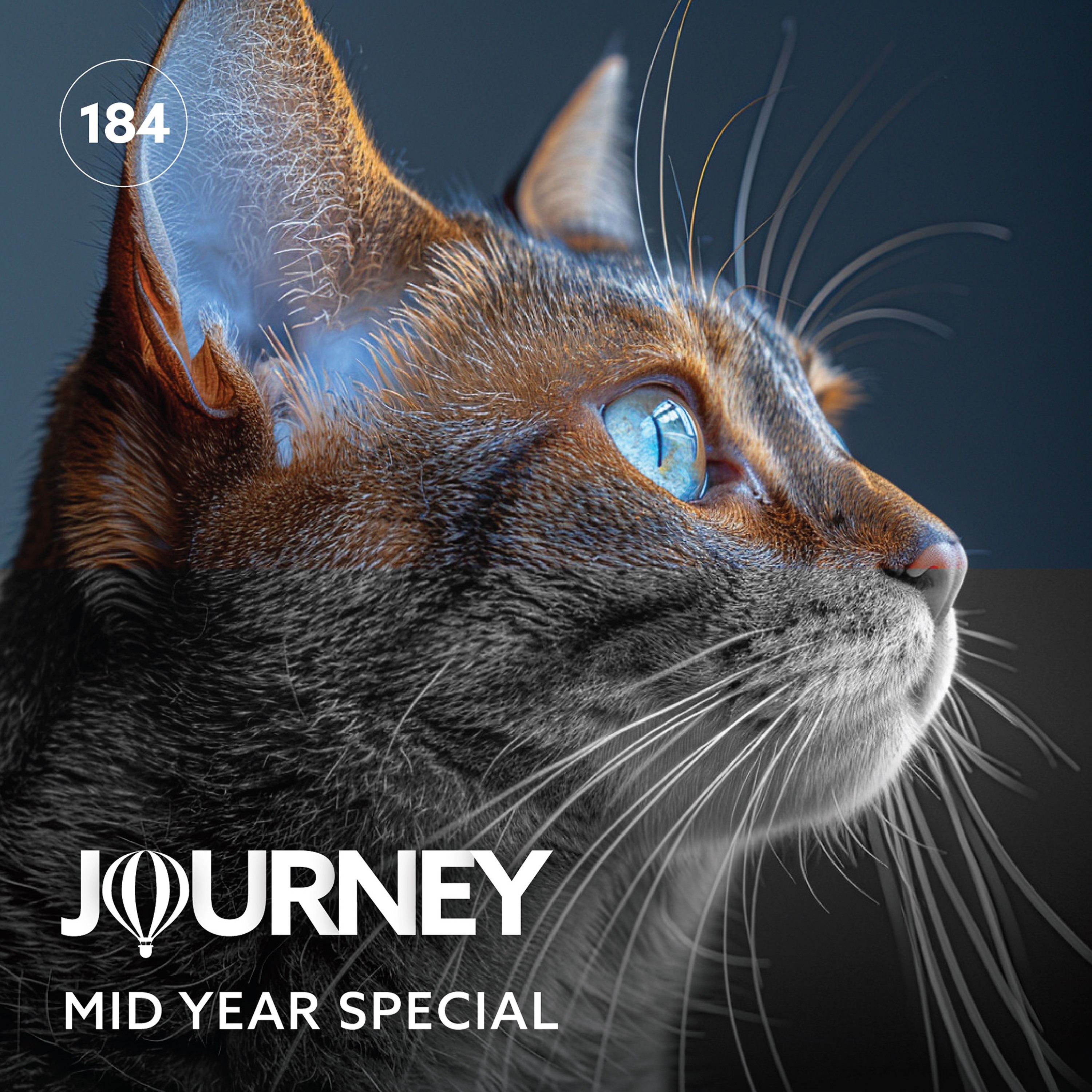 Journey - Episode 184 - Goos - Mid Year Special thumbnail