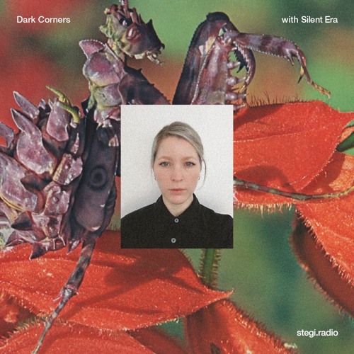 Dark Corners with Silent Era // Stegi Radio // Nov 2023