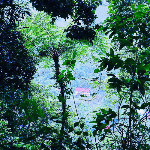 Duo Ma-Ma - Parafifi (démo)