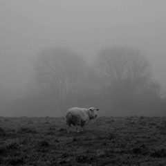 The Only Thing You Can't Fix