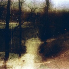 Wifiskeleton - ruin everything don't you  edit