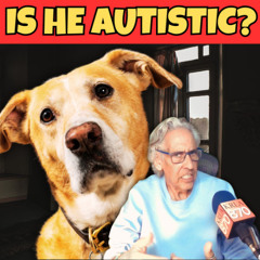The Pet Show 05-10-25