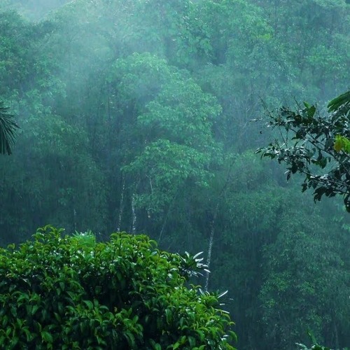 Stream Relaxing Music & Soft Rain: Sleep Music, Calm Piano Music, Healing  Music, Peaceful Music ☆149 by Soothing Relaxation | Listen online for free  on SoundCloud