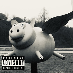 Pigs That Fly