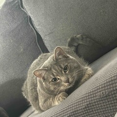 i just want to be something (nodding)