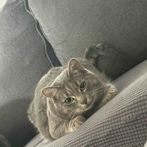i just want to be something (nodding)