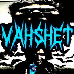 VAHSHET + Baralyze