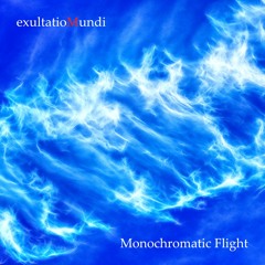 Monochromatic Flight