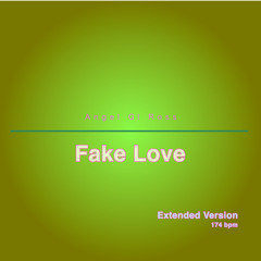 Fake Love (Extended Version)