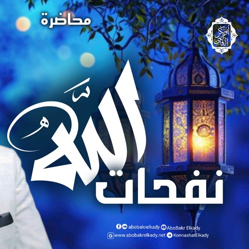 نفحات الله🌨️🩵|محاضرة|د. أبوبكر القاضي