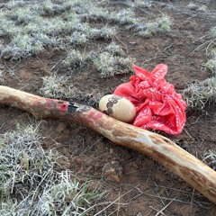 6.22.24 PICTURE PIECES ARCHIVE RETROSPECTIVE COLLECTION [EP] v.1