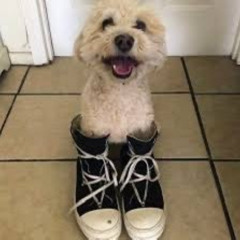 no debate ft. taylon prod. tenshixgod