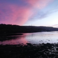 Embryonic chillout idea