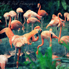 All The Pink Flamingoes II