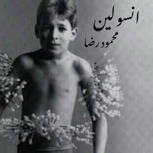 انسولين - محمود رضا