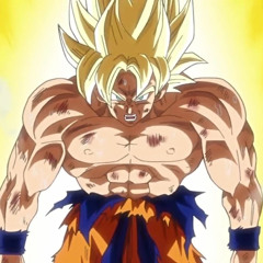 Evolution - GYM HARDSTYLE - TBMN