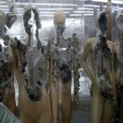 сети саморазрушения