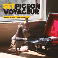 Pigeon Voyageur - Manon Démon x Oreille Interne