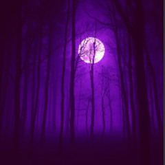 Gothic Rhapsody