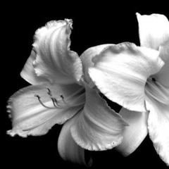 17 yaşında [drakavis+berkhan]