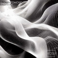 Tomin Tomovic - Egregoras