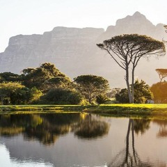 Tchop (Prod. MeloCheick)