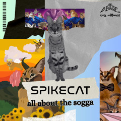 Spikecat - All About The Sogga