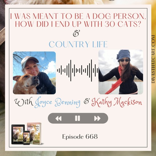 Special Episode: Country Life & I was meant to be a dog person, how did I end up with 30 cats?
