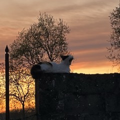 Sí Da Sol