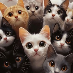 Cute Cat 1