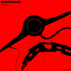VERTEBRAE