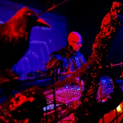 Public Works Halloween 2025