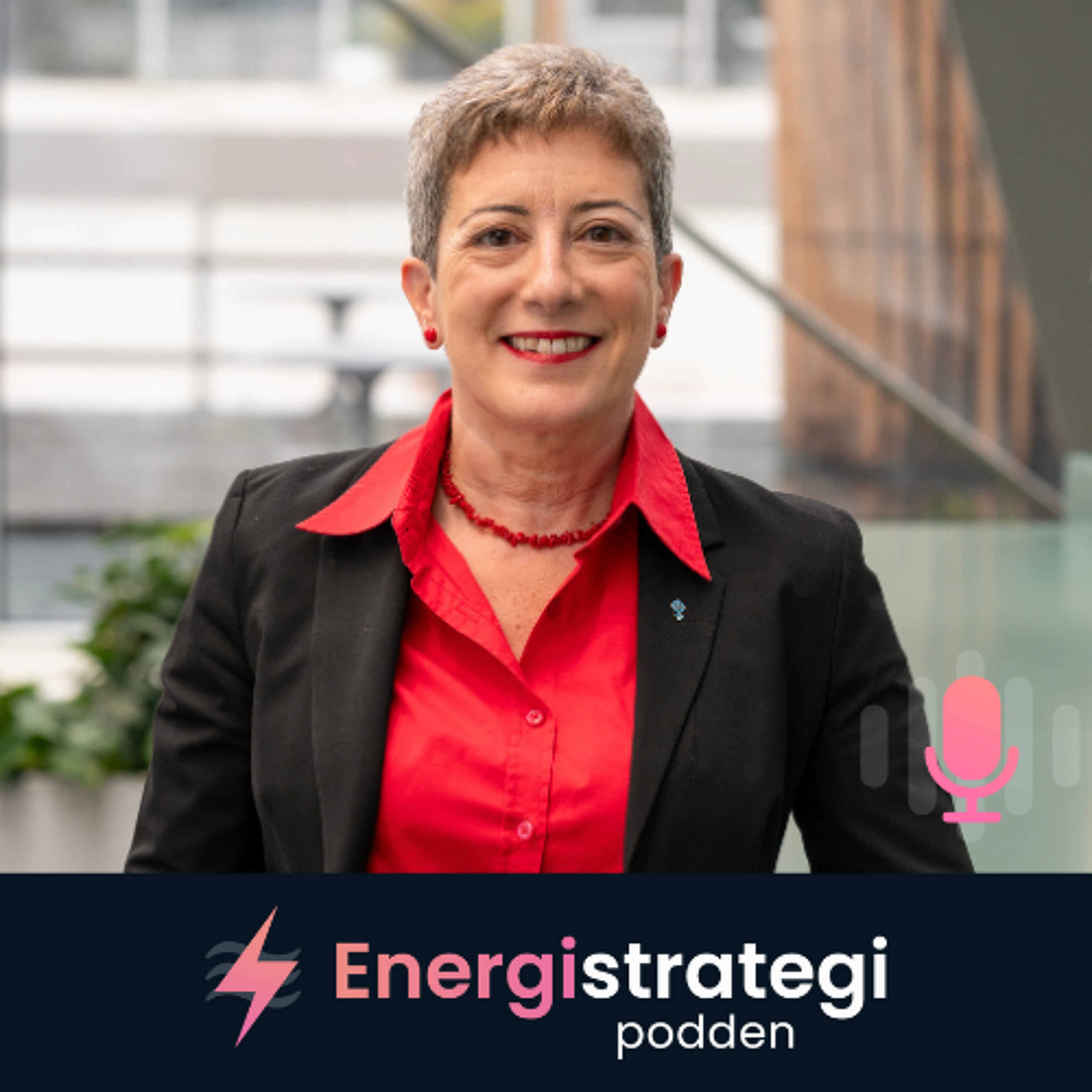 Energistrategipodden