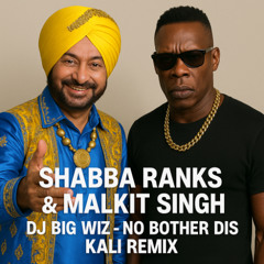 Shabba Ranks & Malkit Singh - No Bother Dis Kali (DJ Big Wiz Remix)