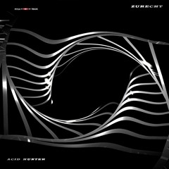 Zurecht - Acid Hunter (Original Mix)
