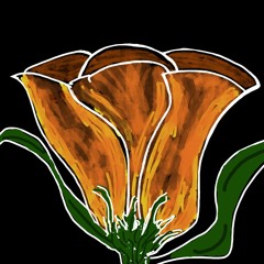 Wistful Backing Music