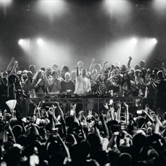 19:26, Animal Picnic ft. Fred Again.. - XX Jungle (SiNO Mashup)